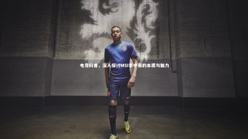 九游体育官网_电竞科普，深入探讨MSI季中赛的本质与魅力